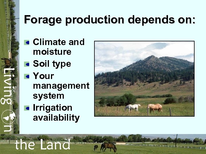 Forage production depends on: Living n Climate and moisture Soil type Your management system