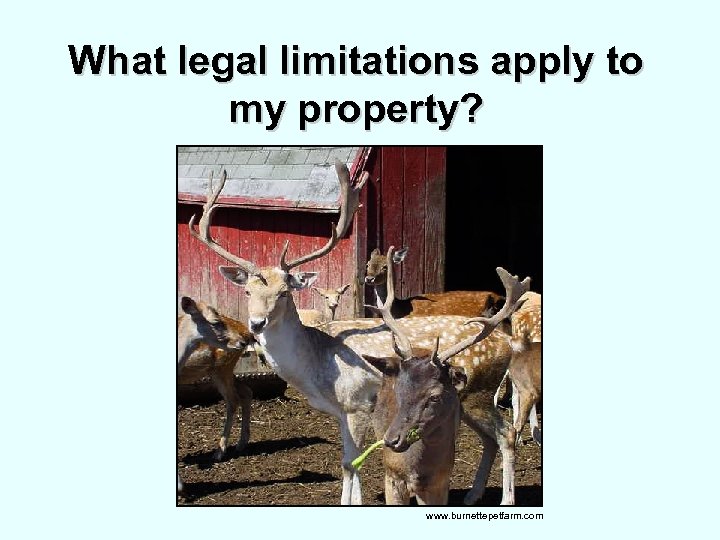 What legal limitations apply to my property? www. burnettepetfarm. com 