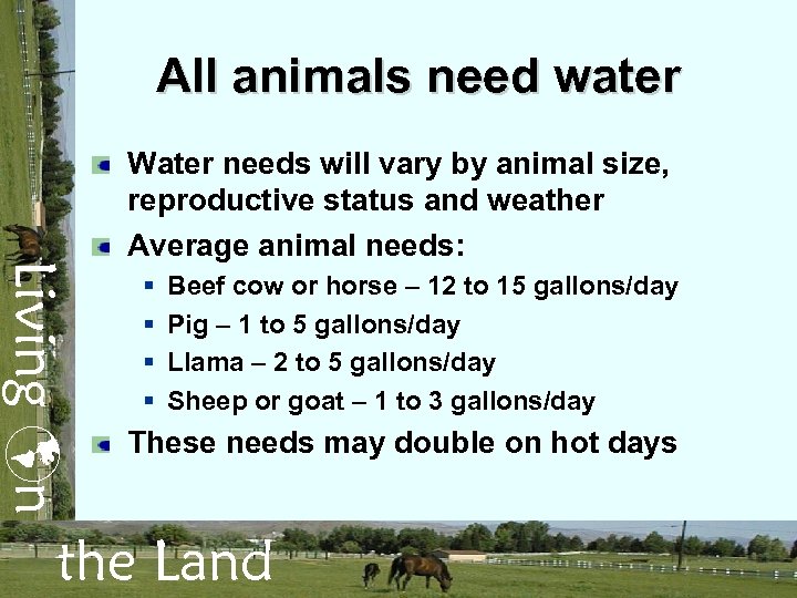 All animals need water Living n Water needs will vary by animal size, reproductive