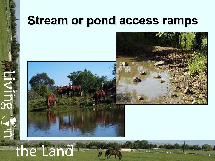 Stream or pond access ramps Living n the Land 