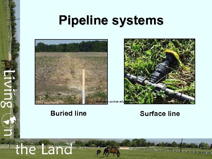 Pipeline systems Living n www. agry. purdue. edu/ext Buried line the Land Surface line