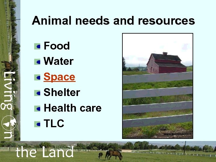 Animal needs and resources Living n Food Water Space Shelter Health care TLC the