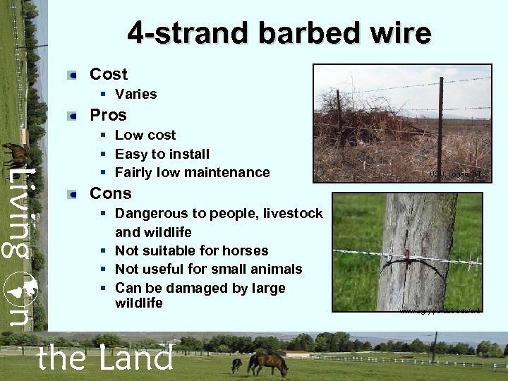 4 -strand barbed wire Cost § Varies Pros Living n § Low cost §