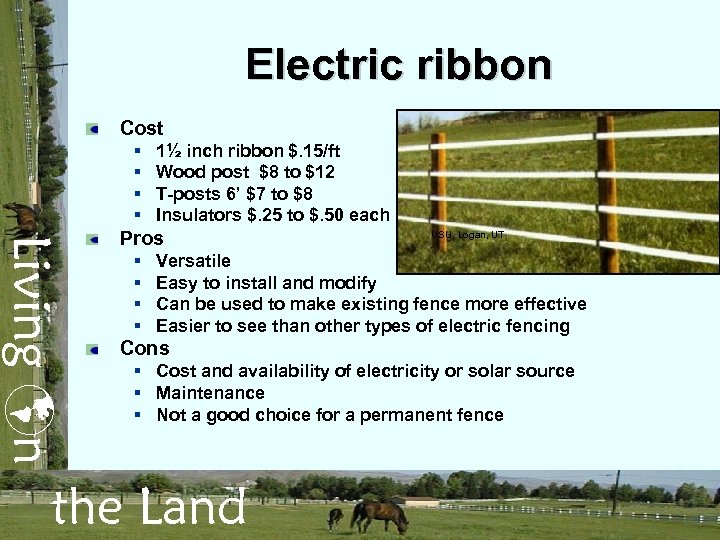 Electric ribbon Cost § § 1½ inch ribbon $. 15/ft Wood post $8 to