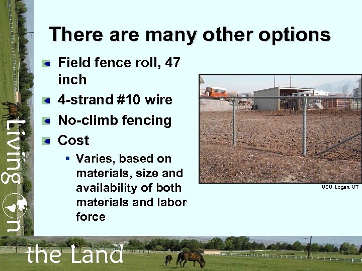 There are many other options Living n Field fence roll, 47 inch 4 -strand