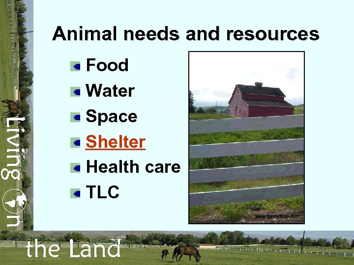 Animal needs and resources Living n Food Water Space Shelter Health care TLC the