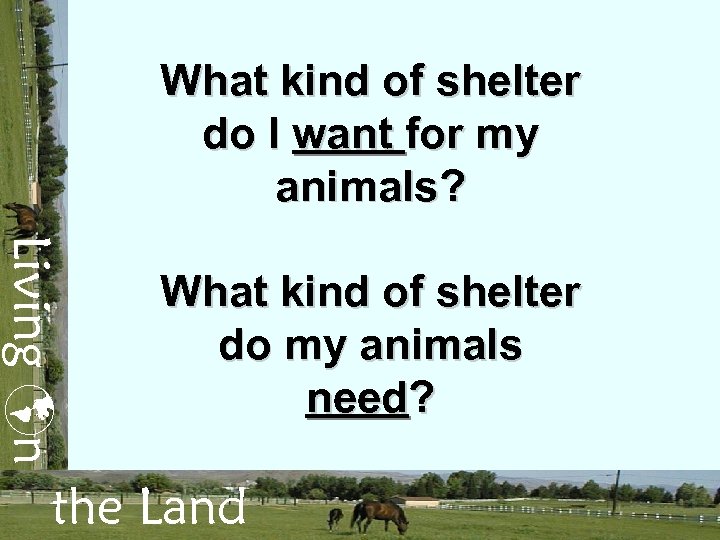 What kind of shelter do I want for my animals? Living n What kind