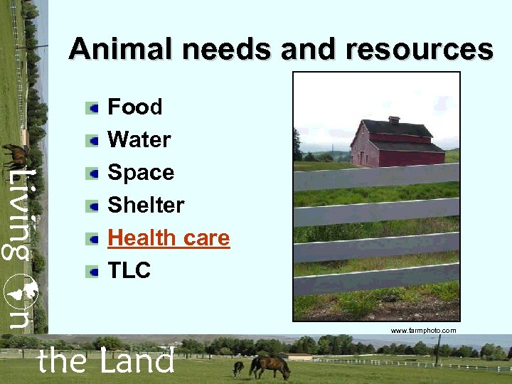 Animal needs and resources Living n Food Water Space Shelter Health care TLC the