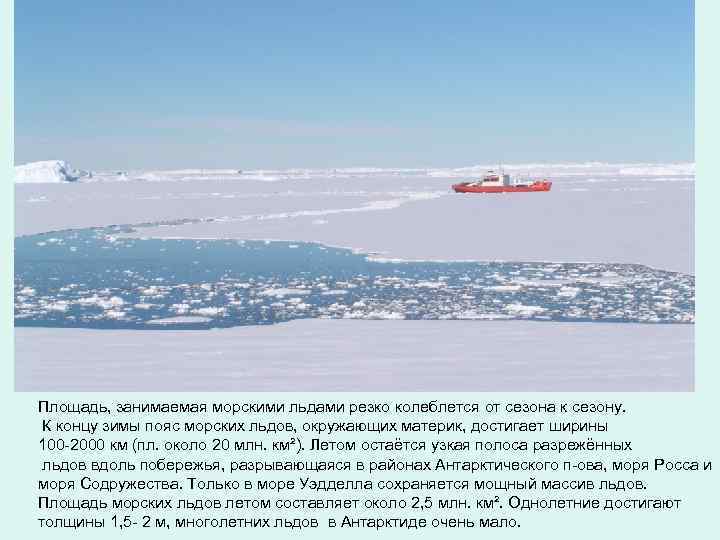 Площадь, занимаемая морcкими льдами резко колеблется от сезона к сезону. К концу зимы пояс