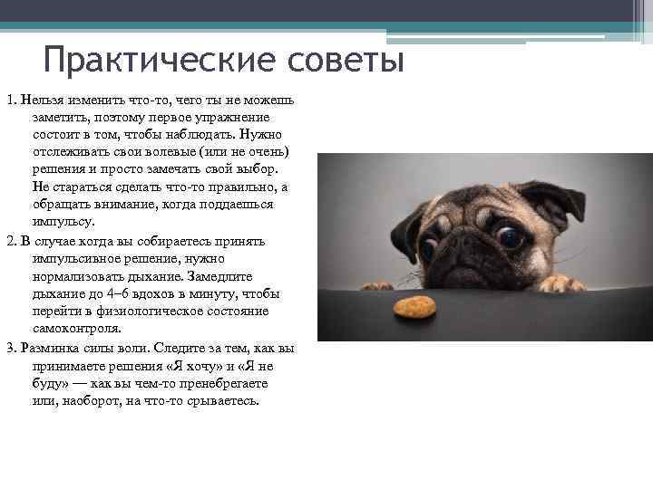 Практические советы 1. Нельзя изменить что-то, чего ты не можешь заметить, поэтому первое упражнение