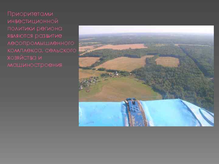 Приоритетами инвестиционной политики региона являются развитие лесопромышленного комплекса, сельского хозяйства и машиностроения 