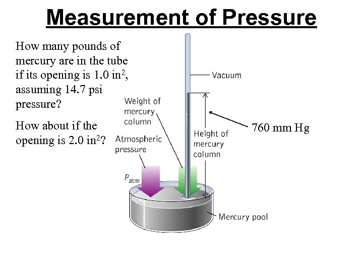 Measurement of Pressure How many pounds of mercury are in the tube if its