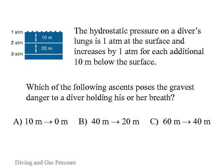 The hydrostatic pressure on a diver’s lungs is 1 atm at the surface and