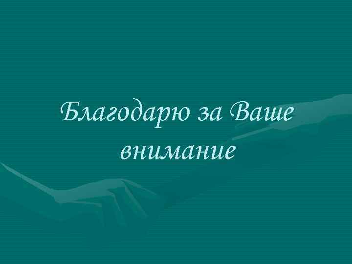 Благодарю за Ваше внимание 