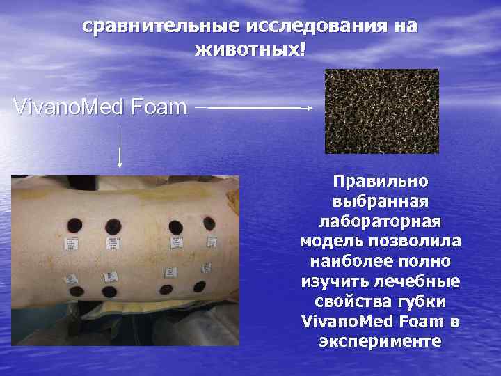 сравнительные исследования на животных! Vivano. Med Foam Правильно выбранная лабораторная модель позволила наиболее полно