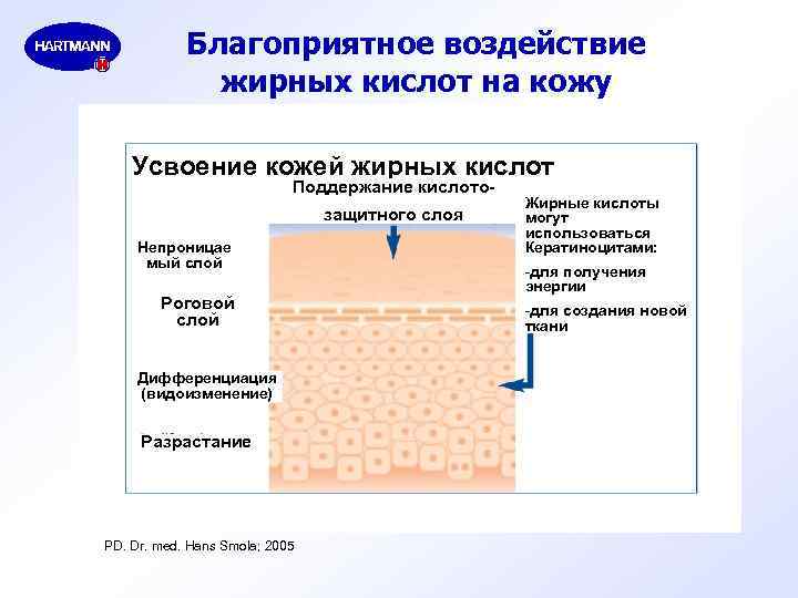 Благоприятное воздействие жирных кислот на кожу Усвоение кожей жирных кислот Поддержание кислотозащитного слоя Непроницае