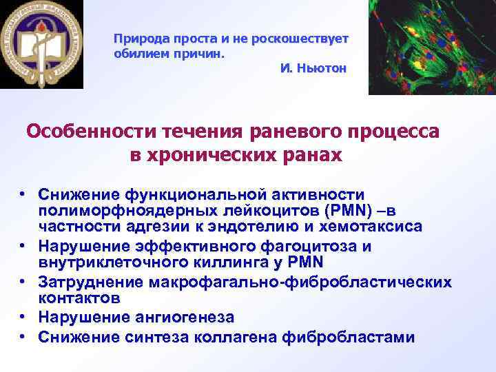 Природа проста и не роскошествует обилием причин. И. Ньютон Особенности течения раневого процесса в