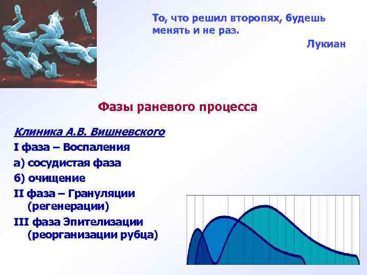 То, что решил второпях, будешь менять и не раз. Лукиан Фазы раневого процесса Клиника