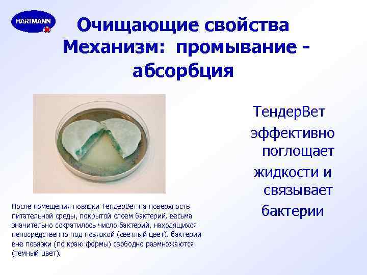 Очищающие свойства Механизм: промывание абсорбция После помещения повязки Тендер. Вет на поверхность питательной среды,