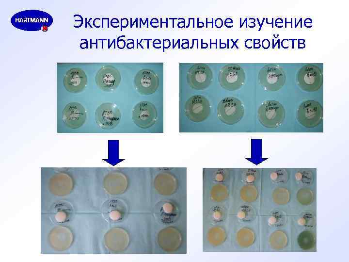 Экспериментальное изучение антибактериальных свойств 