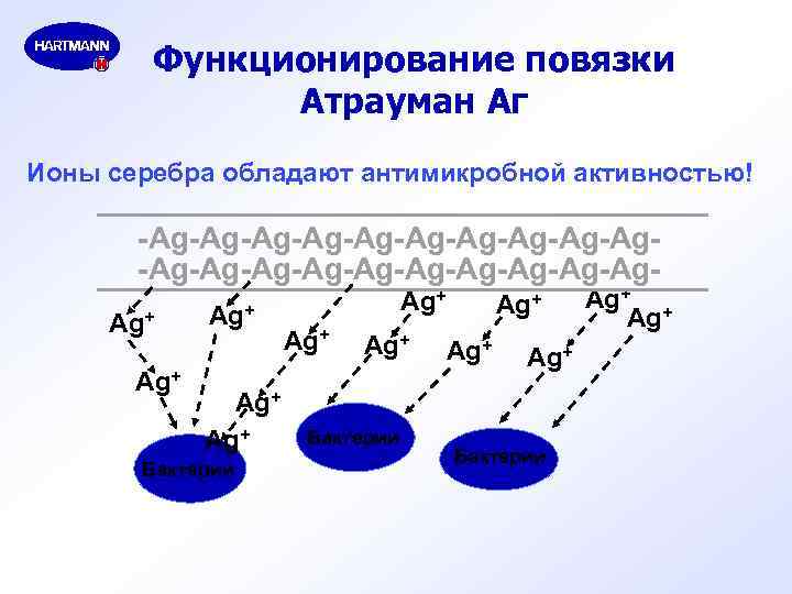 Функционирование повязки Атрауман Аг Ионы серебра обладают антимикробной активностью! -Ag-Ag-Ag-Ag-Ag-Ag-Ag-Ag-Ag-Ag. Ag+ Ag+ Ag+ Бактерии