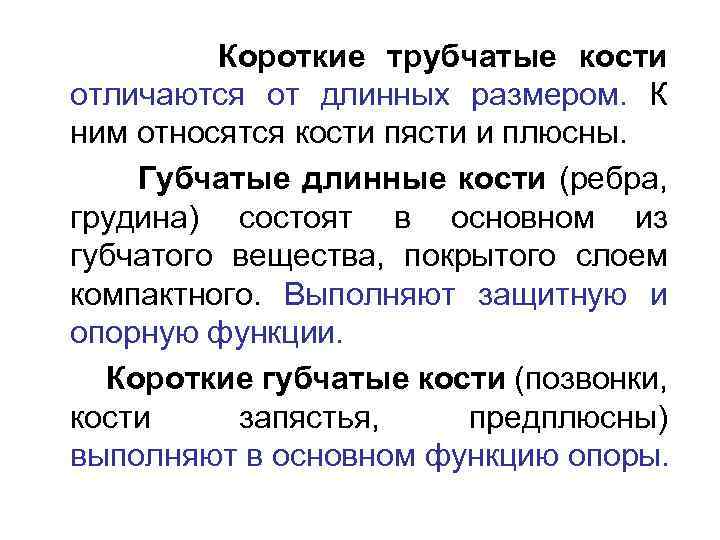 Короткие трубчатые кости отличаются от длинных размером. К ним относятся кости пясти и плюсны.