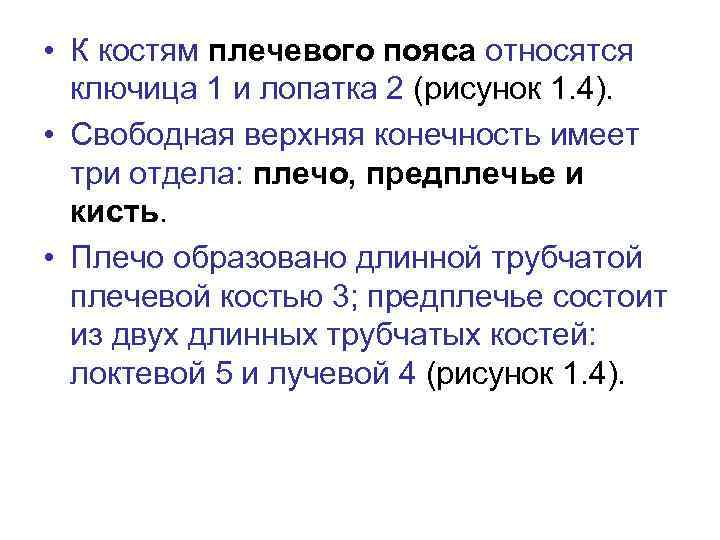  • К костям плечевого пояса относятся ключица 1 и лопатка 2 (рисунок 1.