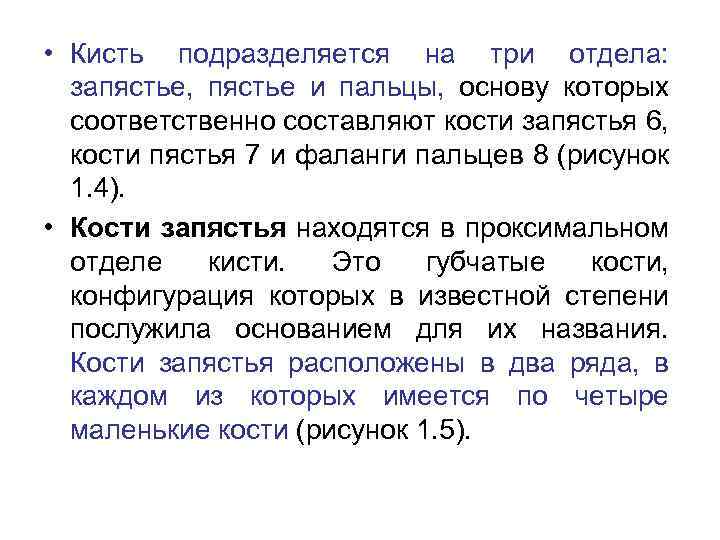  • Кисть подразделяется на три отдела: запястье, пястье и пальцы, основу которых соответственно