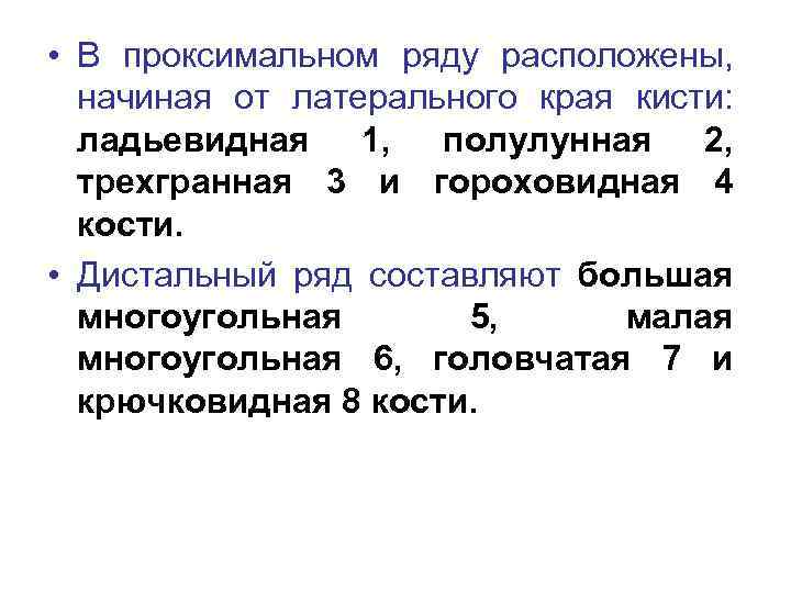  • В проксимальном ряду расположены, начиная от латерального края кисти: ладьевидная 1, полулунная