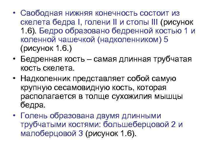  • Свободная нижняя конечность состоит из скелета бедра I, голени II и стопы