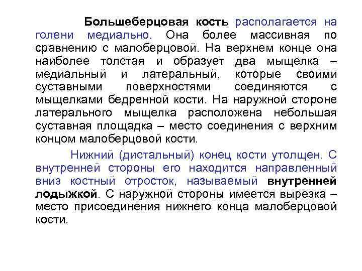 Большеберцовая кость располагается на голени медиально. Она более массивная по сравнению с малоберцовой. На