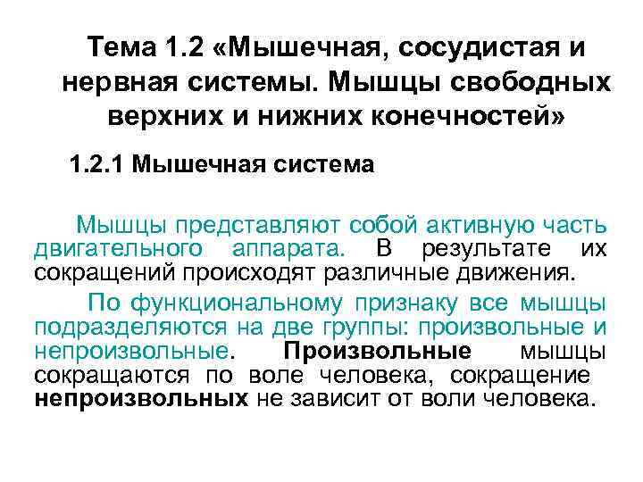Тема 1. 2 «Мышечная, сосудистая и нервная системы. Мышцы свободных верхних и нижних конечностей»