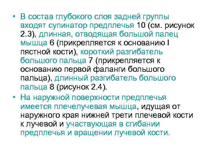  • В состав глубокого слоя задней группы входят супинатор предплечья 10 (см. рисунок