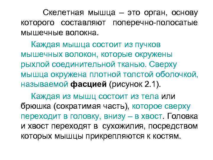 Скелетная мышца – это орган, основу которого составляют поперечно-полосатые мышечные волокна. Каждая мышца состоит