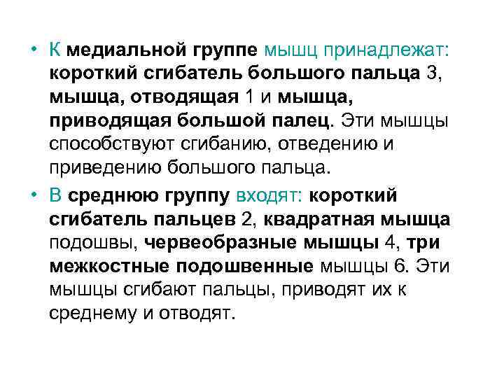  • К медиальной группе мышц принадлежат: короткий сгибатель большого пальца 3, мышца, отводящая