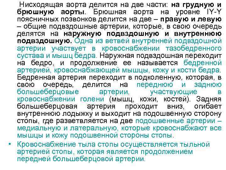 Нисходящая аорта делится на две части: на грудную и брюшную аорты. Брюшная аорта на