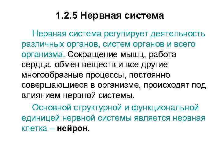 1. 2. 5 Нервная система регулирует деятельность различных органов, систем органов и всего организма.