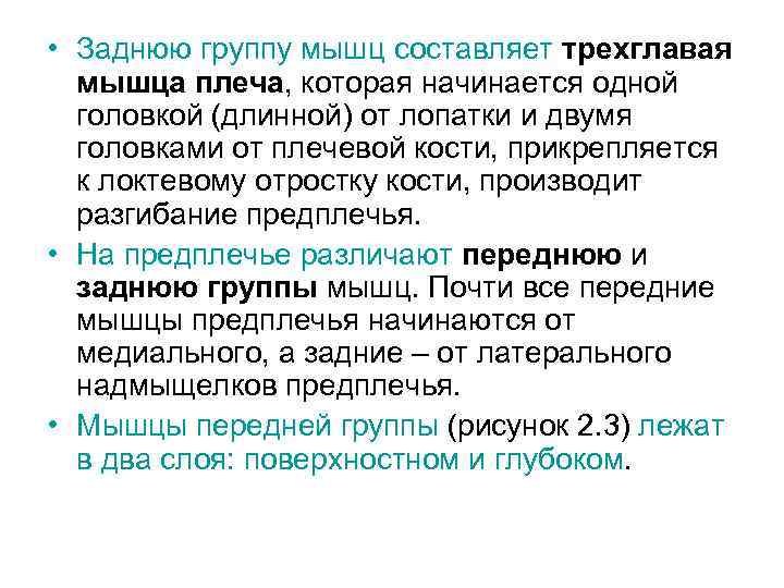  • Заднюю группу мышц составляет трехглавая мышца плеча, которая начинается одной головкой (длинной)