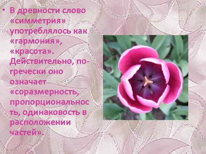  • В древности слово «симметрия» употреблялось как «гармония» , «красота» . Действительно, погречески