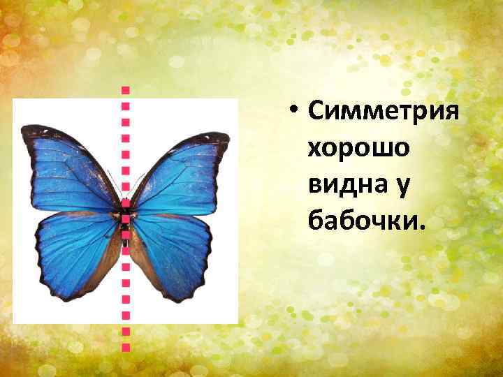 Проект симметрия 1 класс