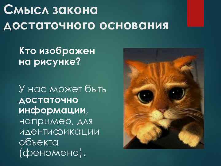 Смысл закона достаточного основания Кто изображен на рисунке? У нас может быть достаточно информации,