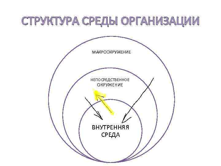 СТРУКТУРА СРЕДЫ ОРГАНИЗАЦИИ МАКРООКРУЖЕНИЕ НЕПОСРЕДСТВЕННОЕ ОКРУЖЕНИЕ ВНУТРЕННЯЯ СРЕДА 