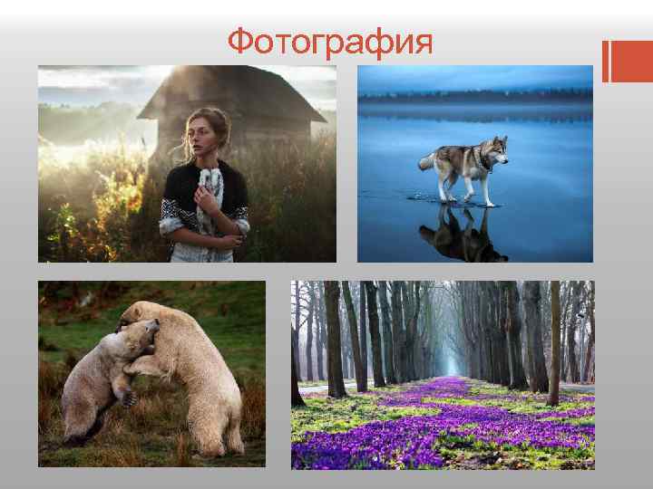 Фотография 