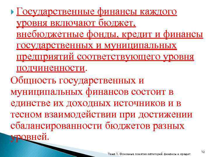  Государственные финансы каждого уровня включают бюджет, внебюджетные фонды, кредит и финансы государственных и