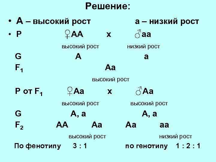 Решение: • А – высокий рост • Р ♀АА а – низкий рост высокий