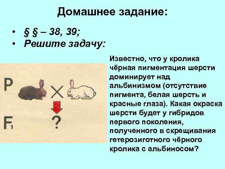Домашнее задание: • § § – 38, 39; • Решите задачу: Известно, что у