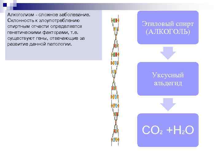 Алкоголизм - сложное заболевание. Склонность к злоупотреблению спиртным отчасти определяется генетическими факторами, т. е.