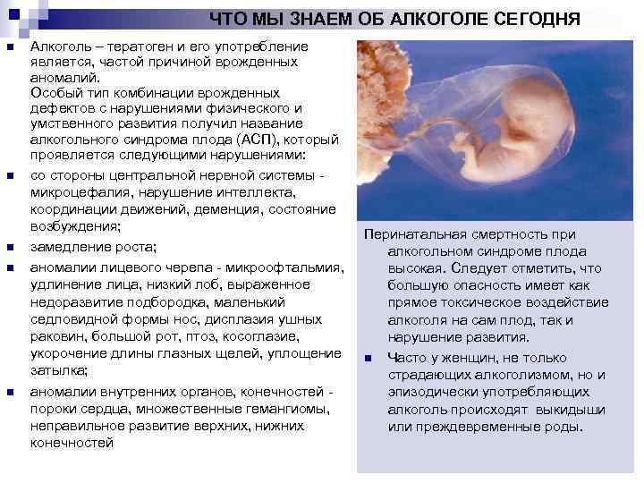 ЧТО МЫ ЗНАЕМ ОБ АЛКОГОЛЕ СЕГОДНЯ n n n Алкоголь – тератоген и его