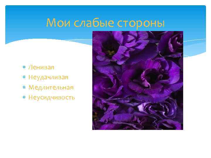 Мои слабые стороны Ленивая Неудачливая Медлительная Неусидчивость 