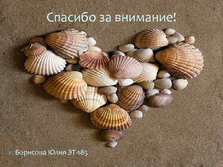 Спасибо за внимание! Борисова Юлия ЭТ-185 